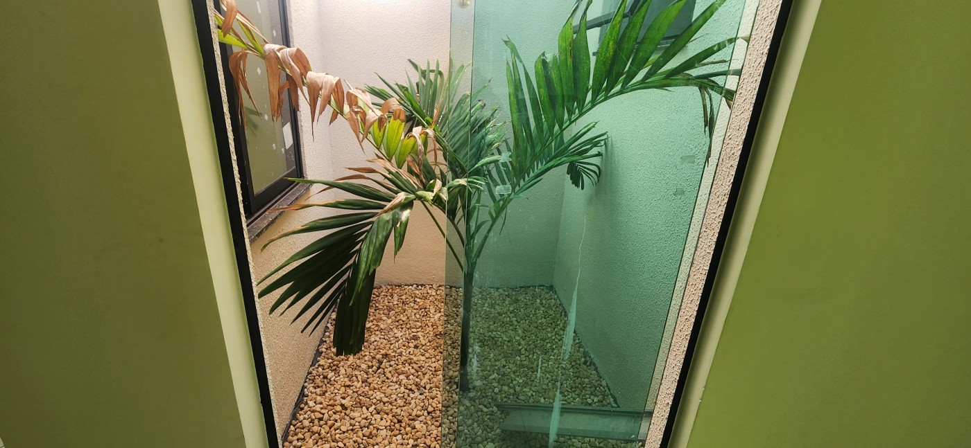 Casa, 3 quartos, 300 m² - Foto 12