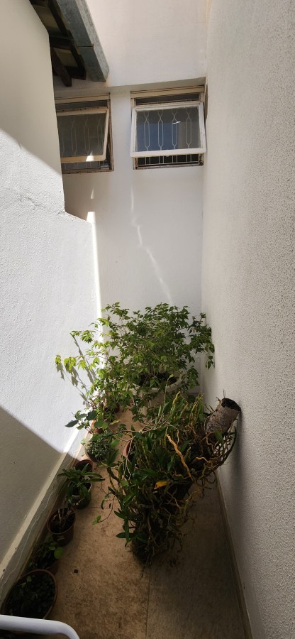 Apartamento, 3 quartos, 109 m² - Foto 13