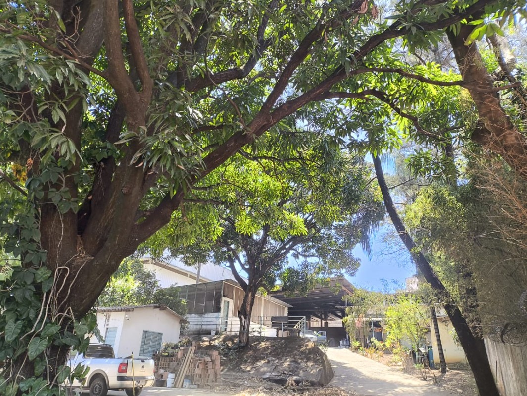 Depósito-Galpão, 2050 m² - Foto 8