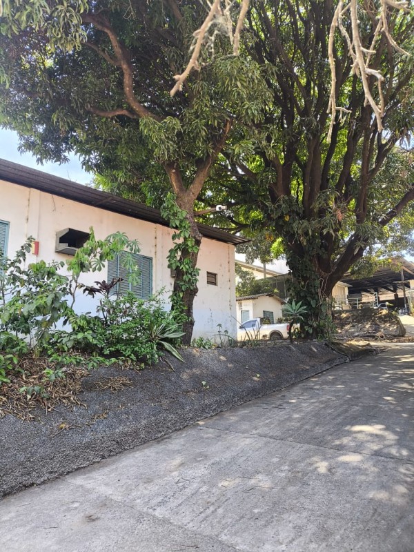 Depósito-Galpão, 2050 m² - Foto 12