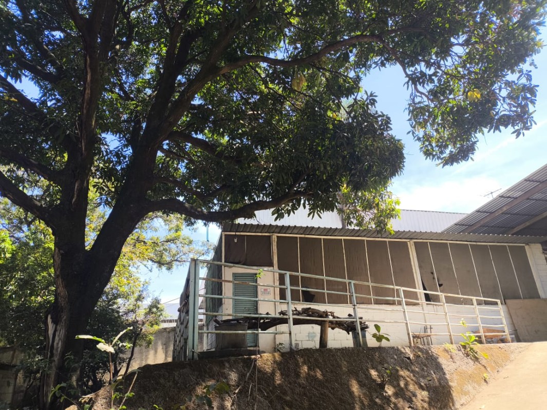 Depósito-Galpão, 2050 m² - Foto 7