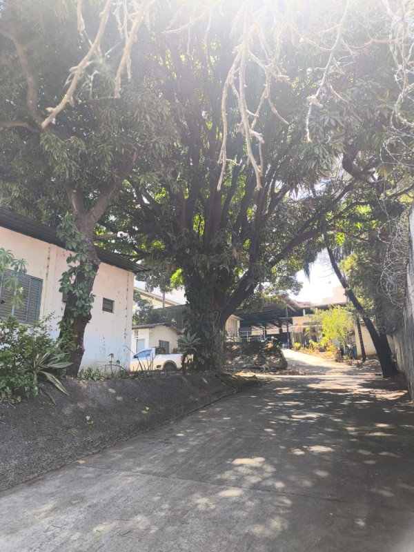 Depósito-Galpão, 2050 m² - Foto 11