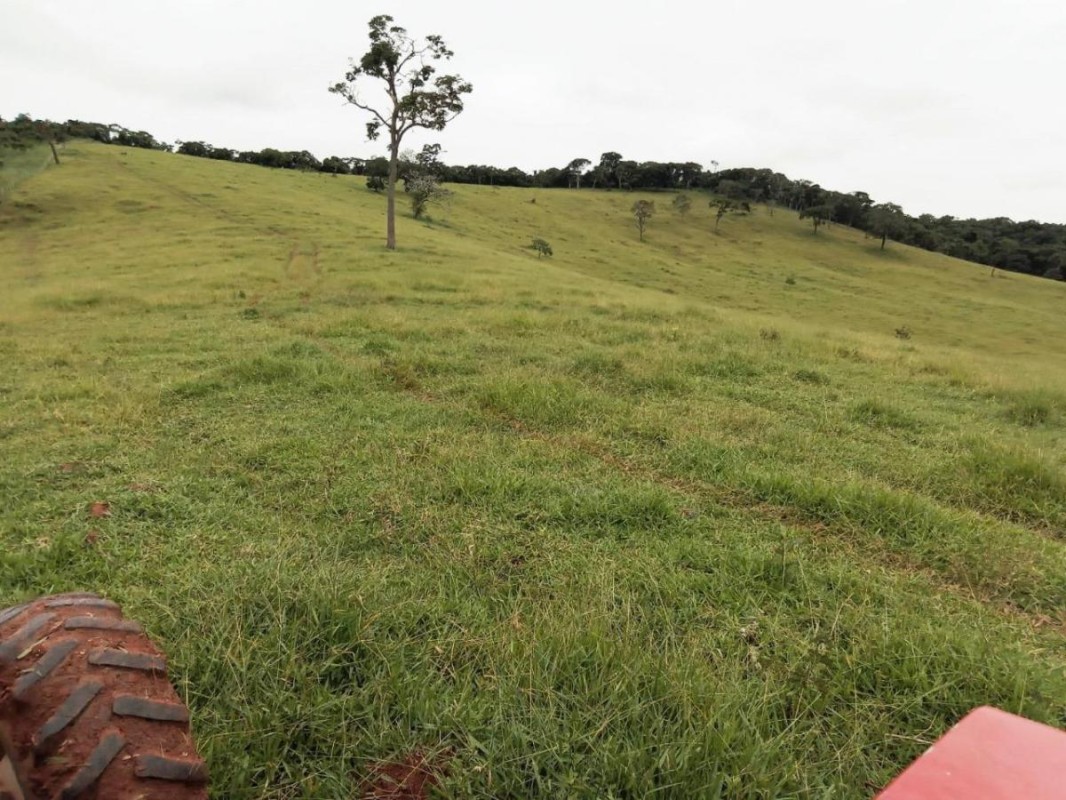 Fazenda, 131 hectares - Foto 17