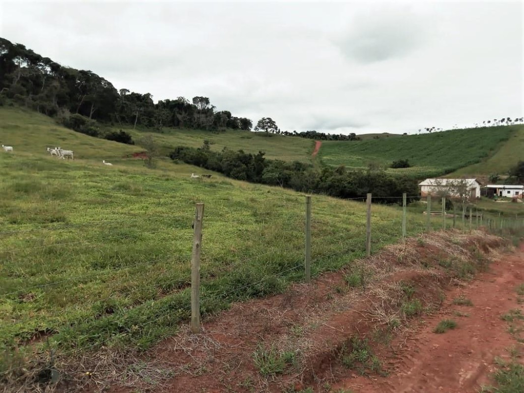 Fazenda, 131 hectares - Foto 13