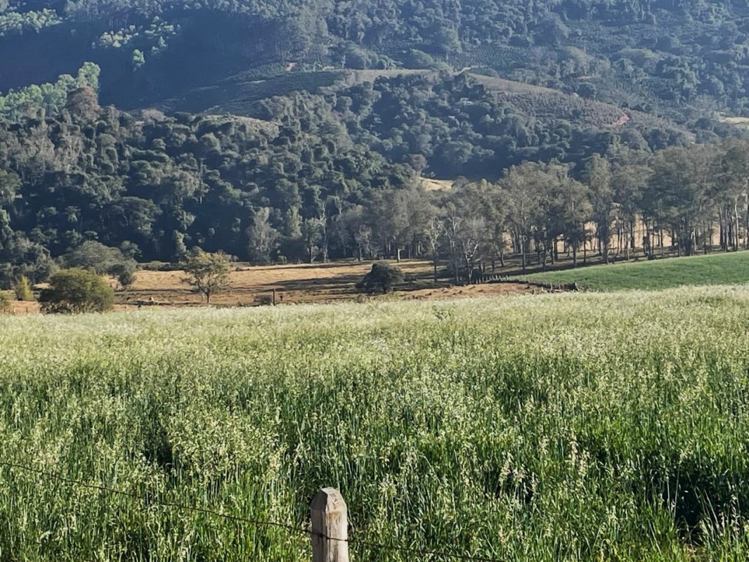 Fazenda, 420 hectares - Foto 5