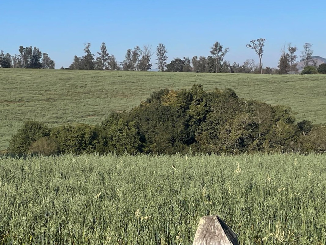 Fazenda, 420 hectares - Foto 4