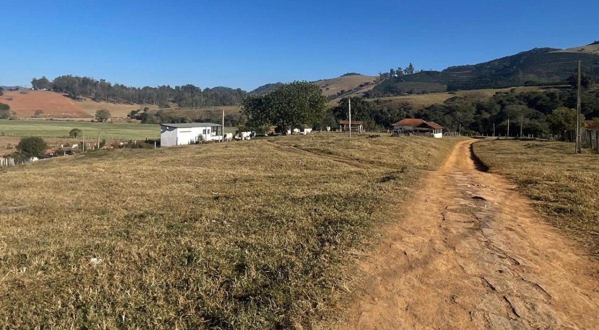 Fazenda, 420 hectares - Foto 18