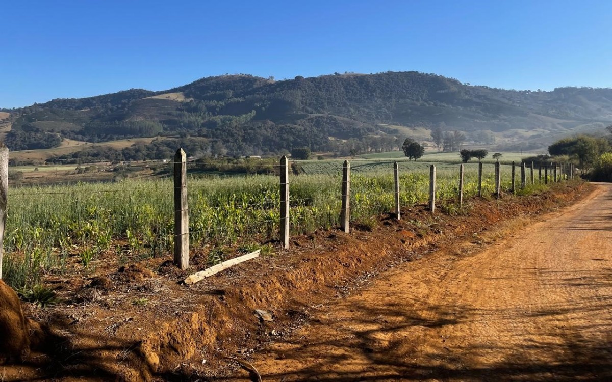 Fazenda, 420 hectares - Foto 7