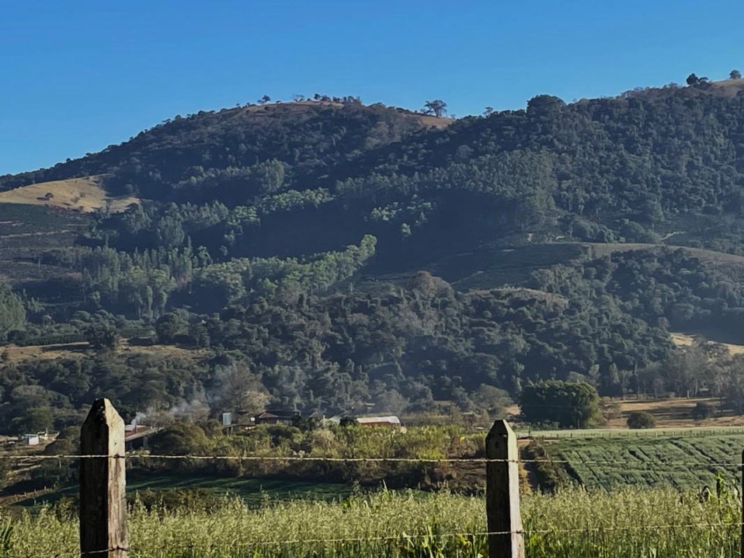 Fazenda, 420 hectares - Foto 9