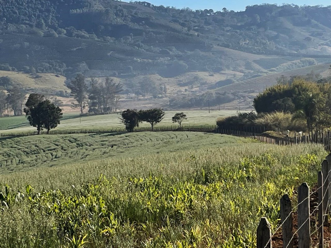 Fazenda, 420 hectares - Foto 2