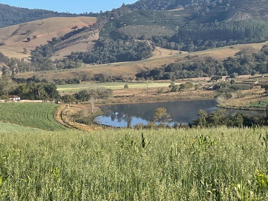 Fazenda, 420 hectares - Foto 10