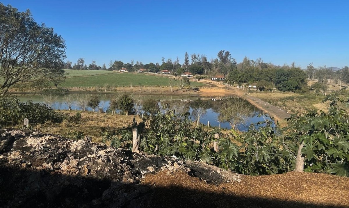 Fazenda, 420 hectares - Foto 20