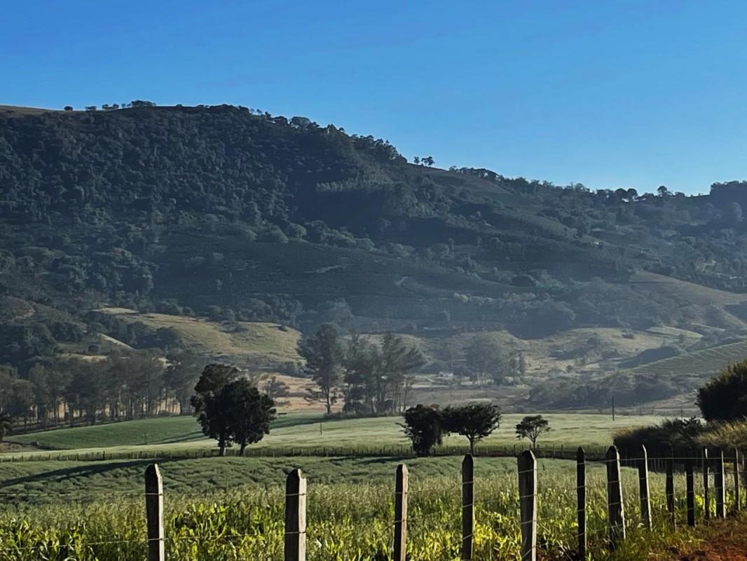 Fazenda, 420 hectares - Foto 6