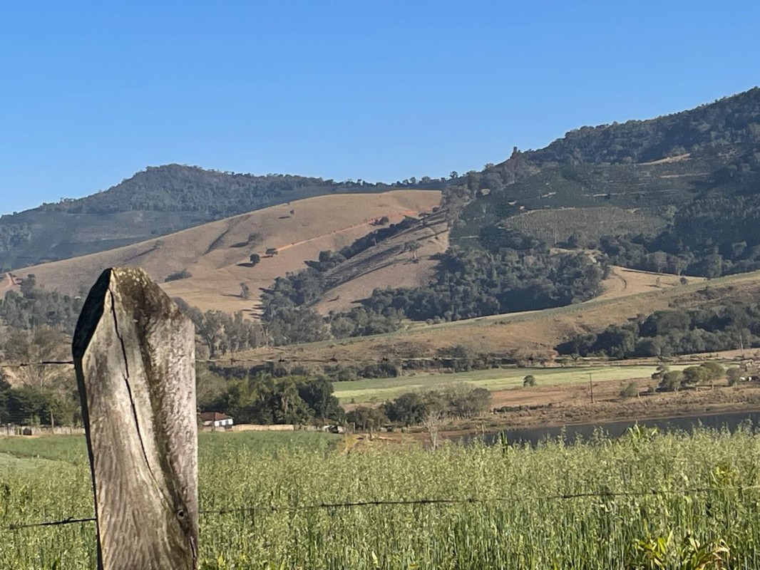 Fazenda, 420 hectares - Foto 12