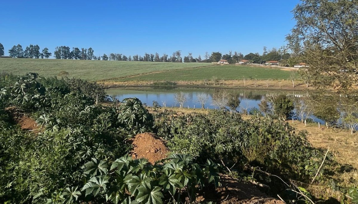 Fazenda, 420 hectares - Foto 21