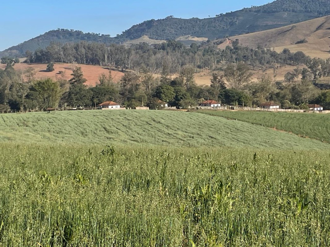 Fazenda, 420 hectares - Foto 11