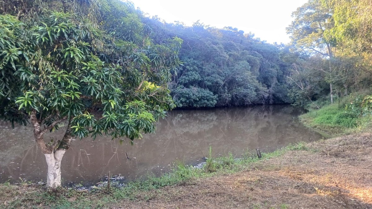 Chácara, 1 quarto, 105 hectares - Foto 8