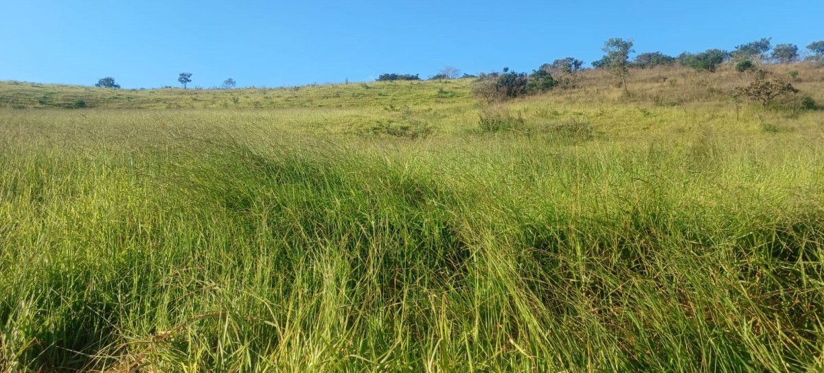 Fazenda, 105 hectares - Foto 3