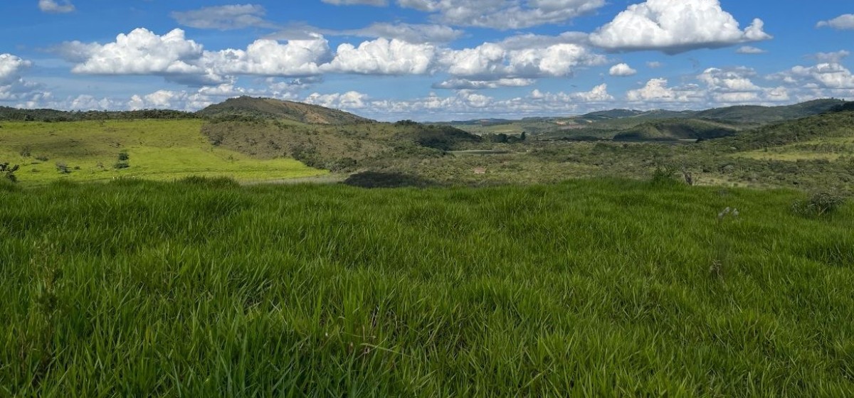 Fazenda, 105 hectares - Foto 2