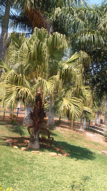 Fazenda, 183 hectares - Foto 5