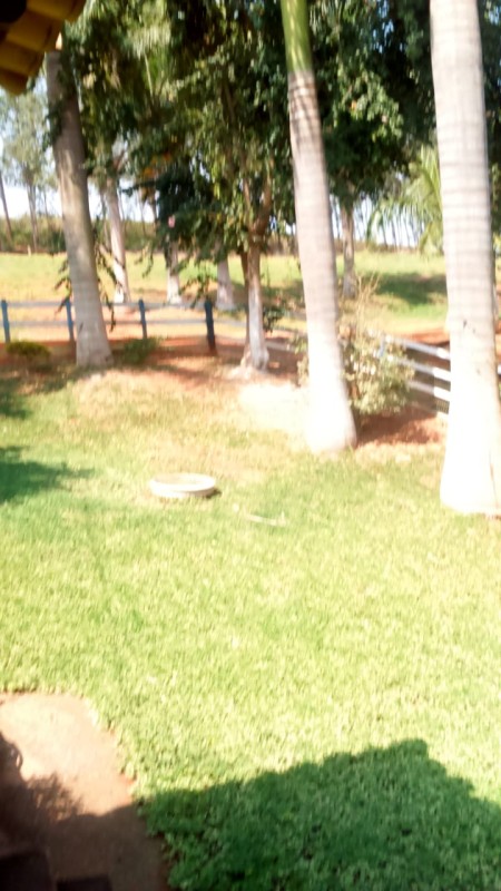 Fazenda, 183 hectares - Foto 2