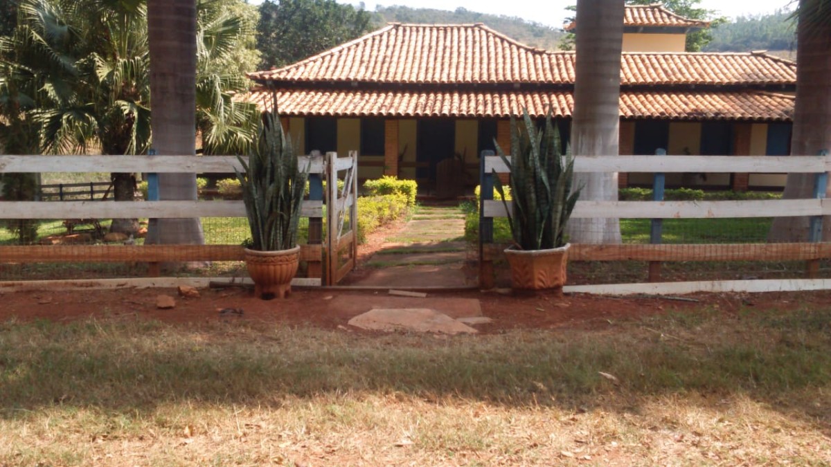 Fazenda, 183 hectares - Foto 6