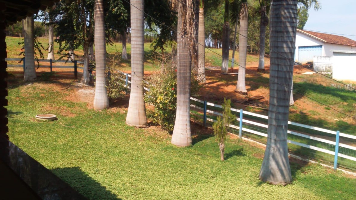 Fazenda, 183 hectares - Foto 4