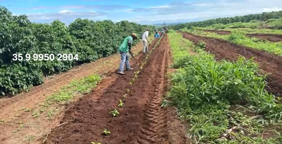 Fazenda, 86 hectares - Foto 18