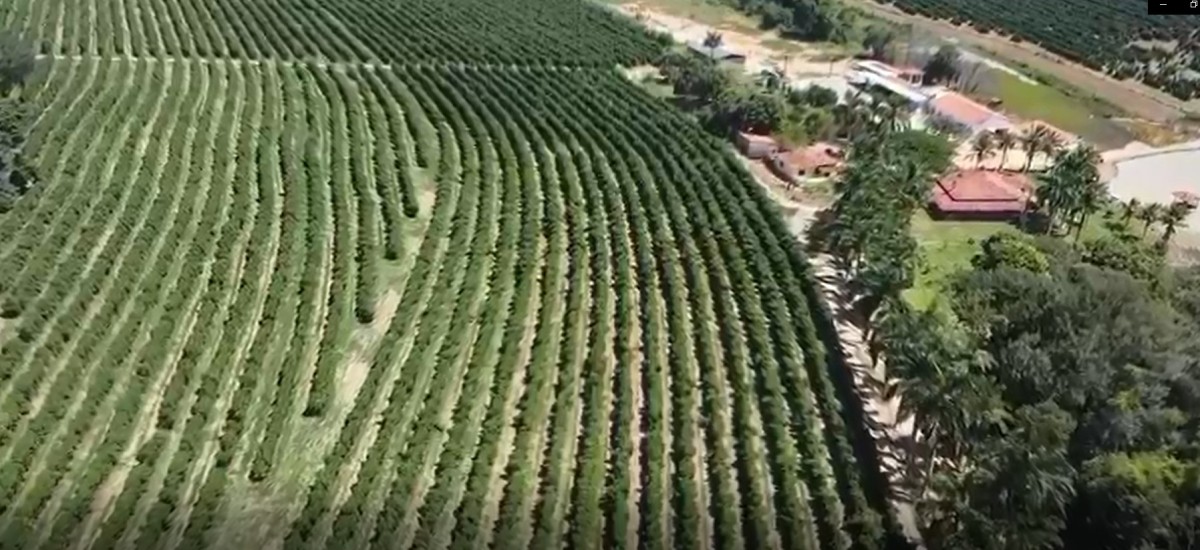 Fazenda, 86 hectares - Foto 24