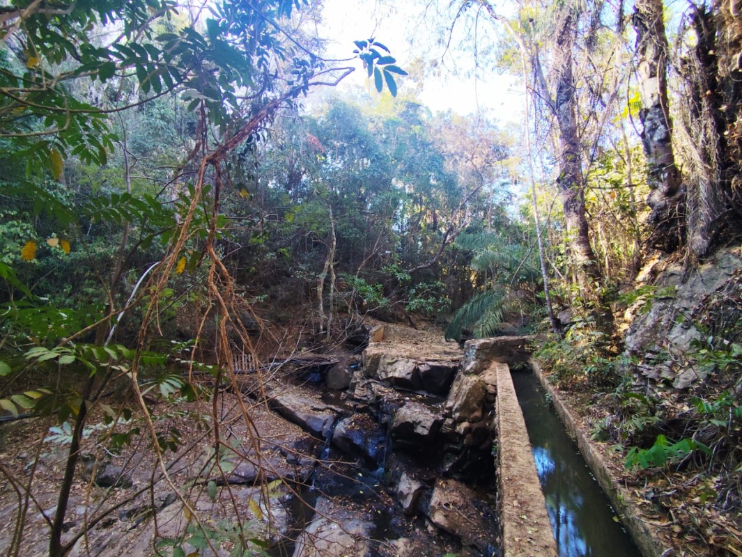 Chácara, 6 quartos, 6000 m² - Foto 20