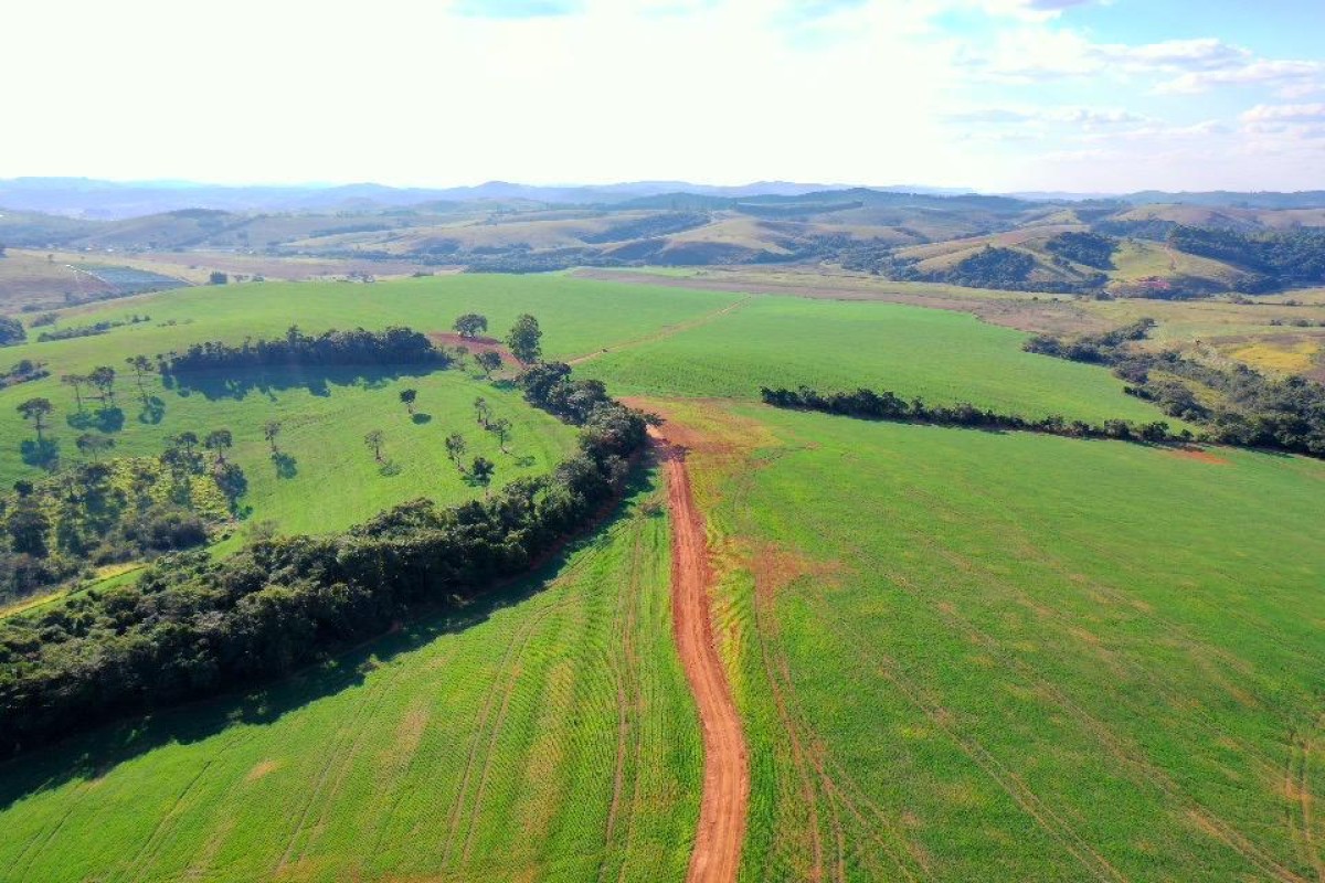 Fazenda, 400 hectares - Foto 8