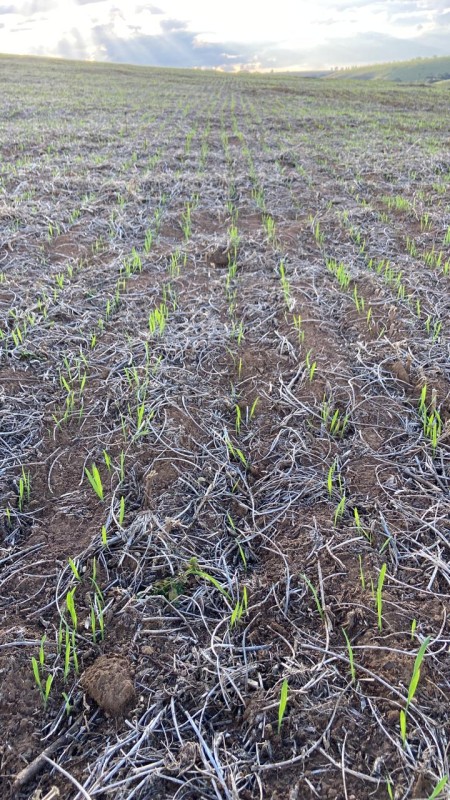 Fazenda, 400 hectares - Foto 6