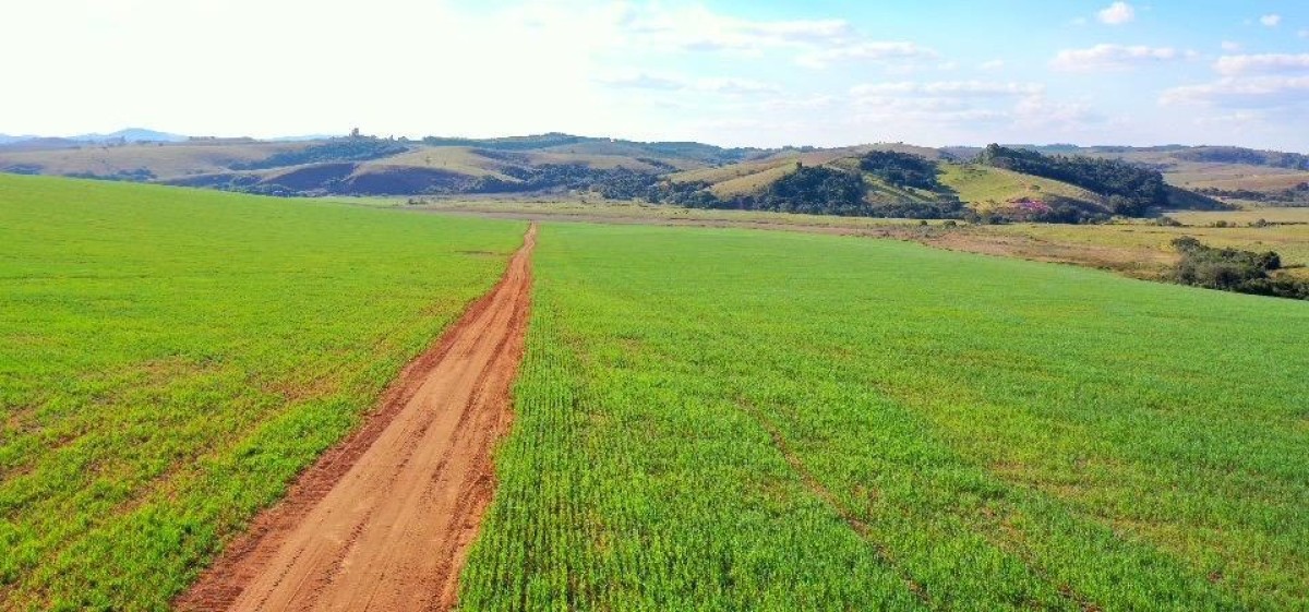Fazenda, 400 hectares - Foto 7