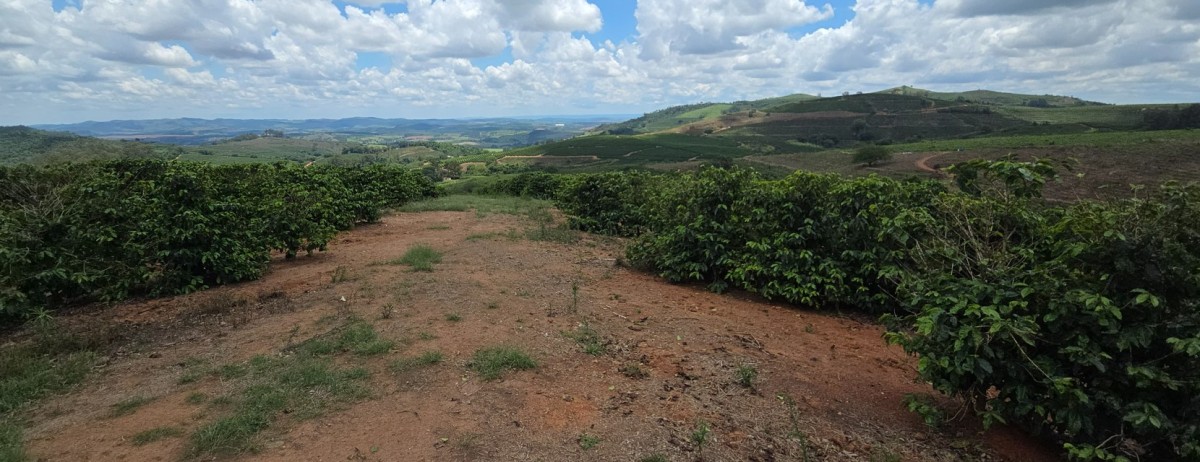 Chácara, 1 quarto, 208 hectares - Foto 19