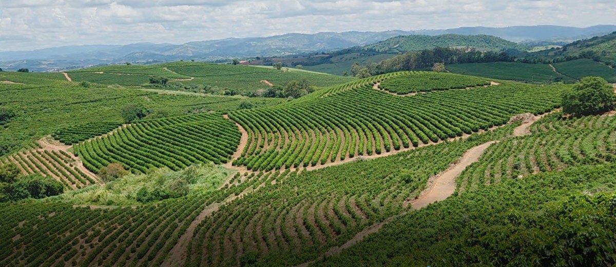 Fazenda, 208 hectares - Foto 5