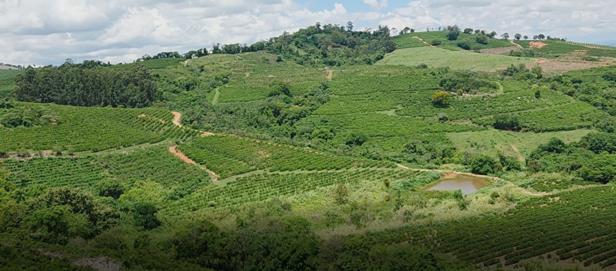 Fazenda, 208 hectares - Foto 3