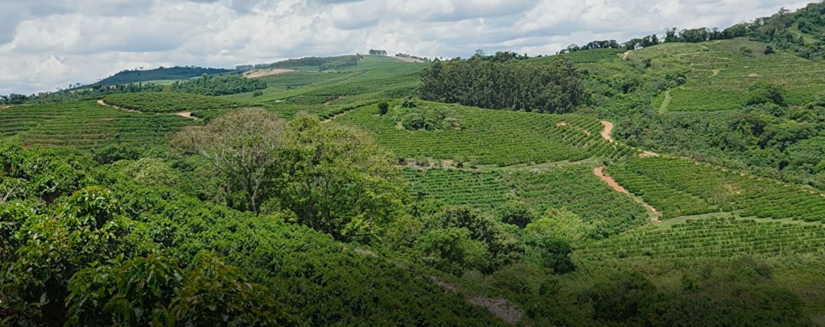 Fazenda, 208 hectares - Foto 1