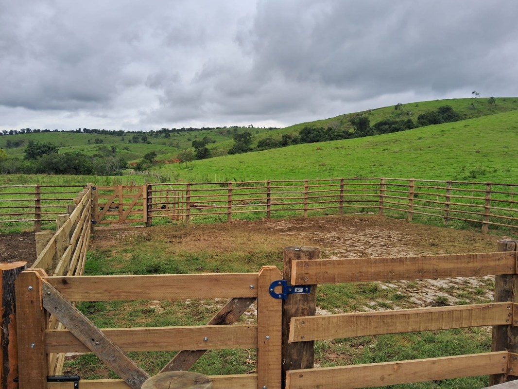 Fazenda, 722 hectares - Foto 22