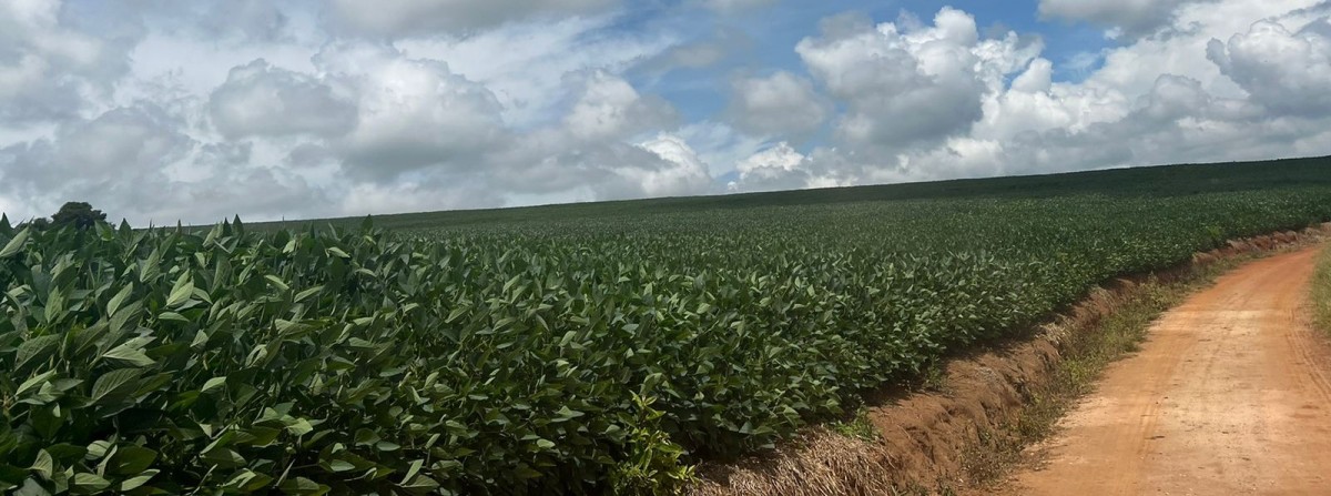 Fazenda, 820 hectares - Foto 20