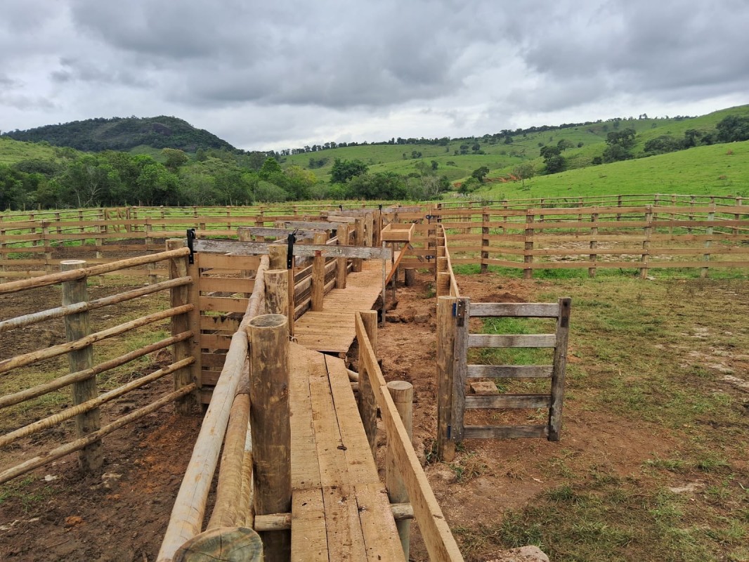 Fazenda, 722 hectares - Foto 24