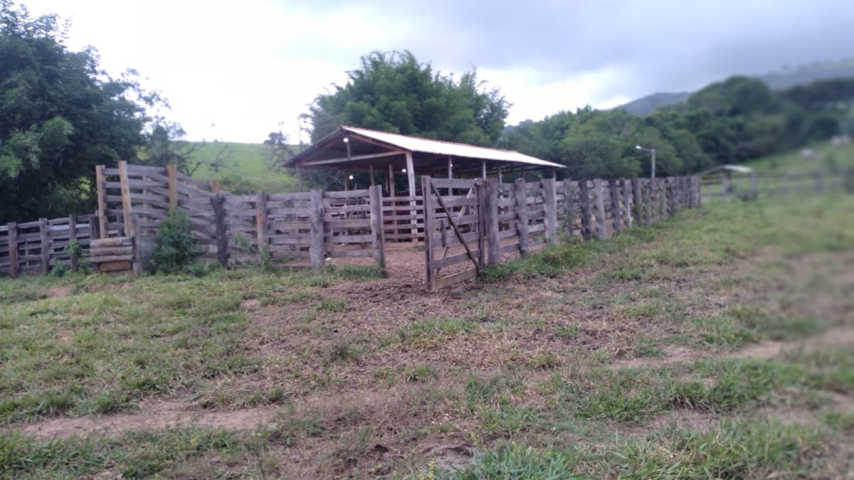 Fazenda, 174 hectares - Foto 22