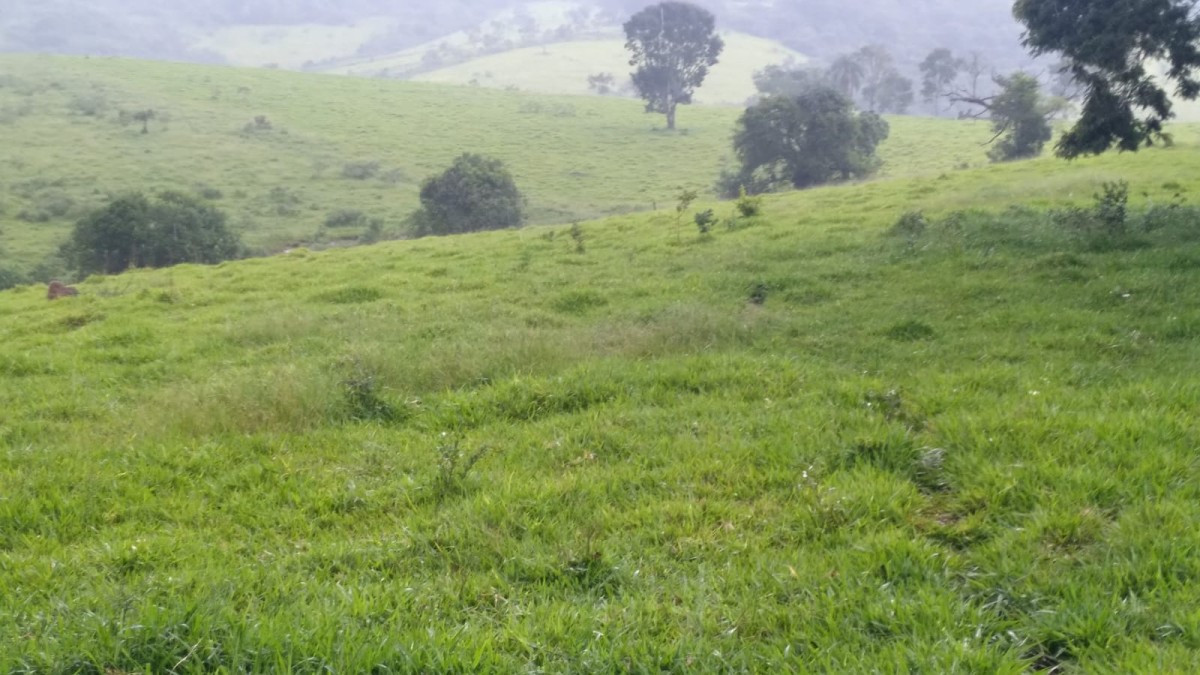 Fazenda, 174 hectares - Foto 9