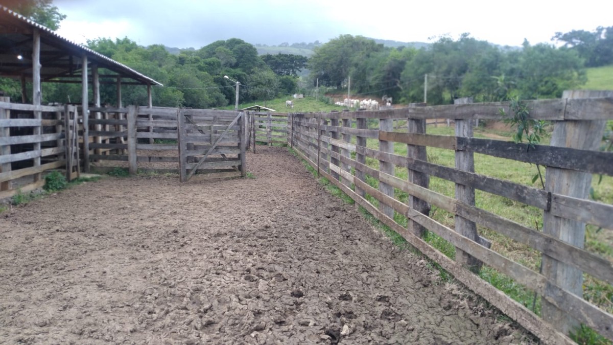 Fazenda, 174 hectares - Foto 19