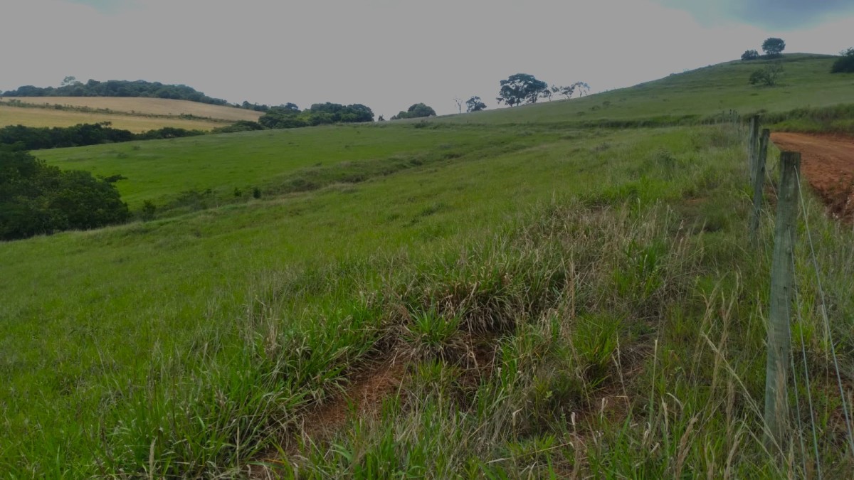 Fazenda, 174 hectares - Foto 17