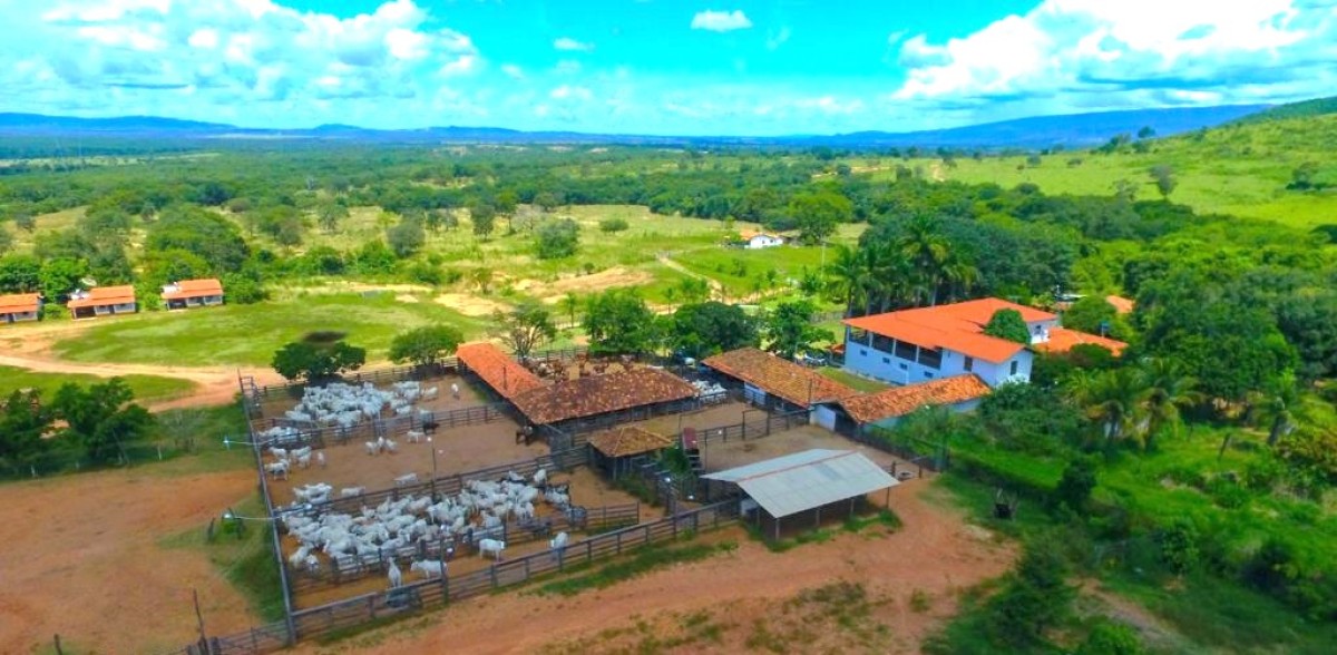 Fazenda, 1033 hectares - Foto 6