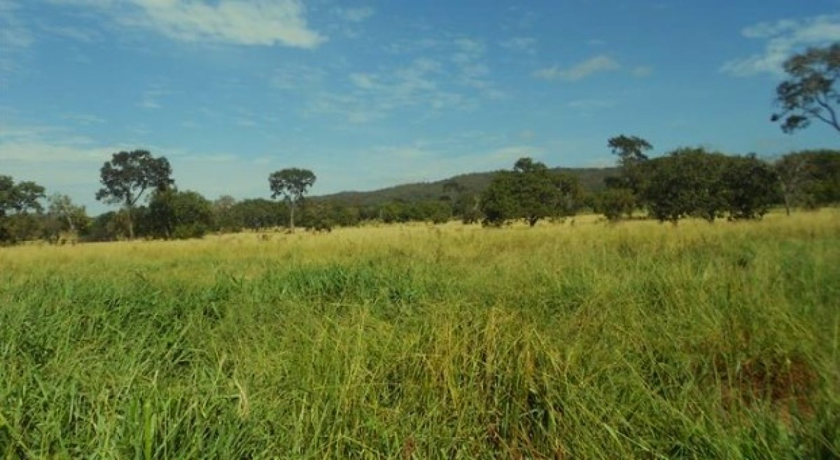 Fazenda, 1033 hectares - Foto 12