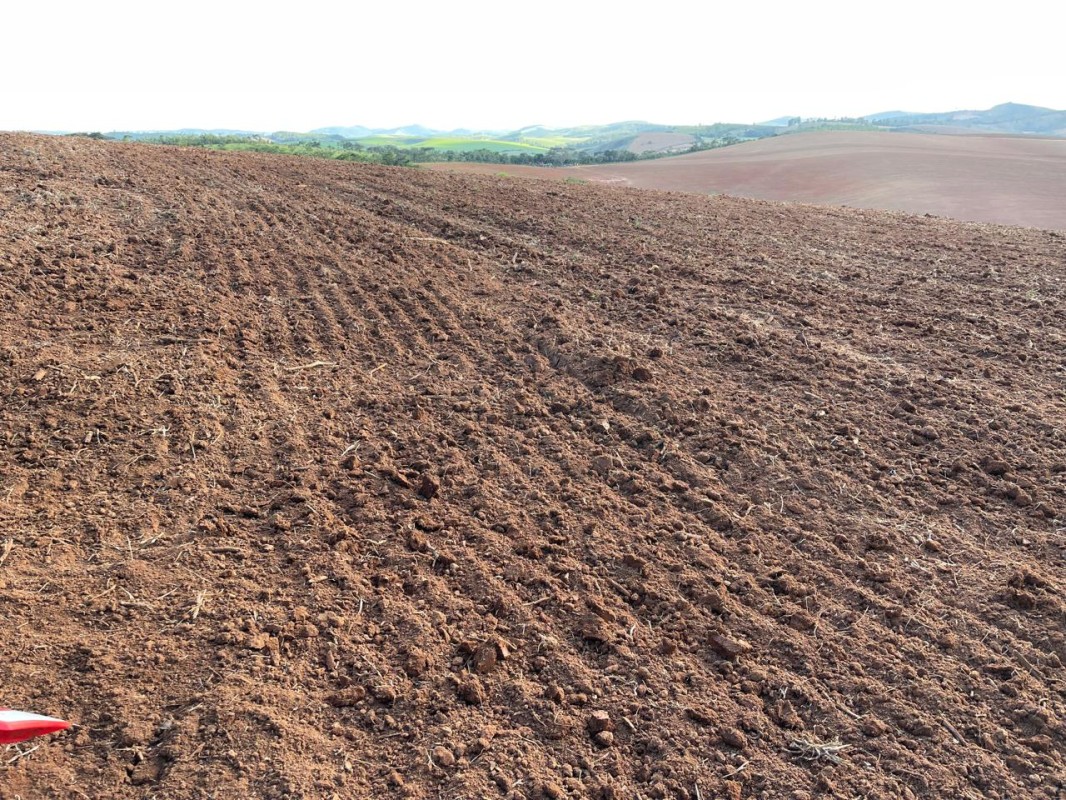 Fazenda, 500 hectares - Foto 6