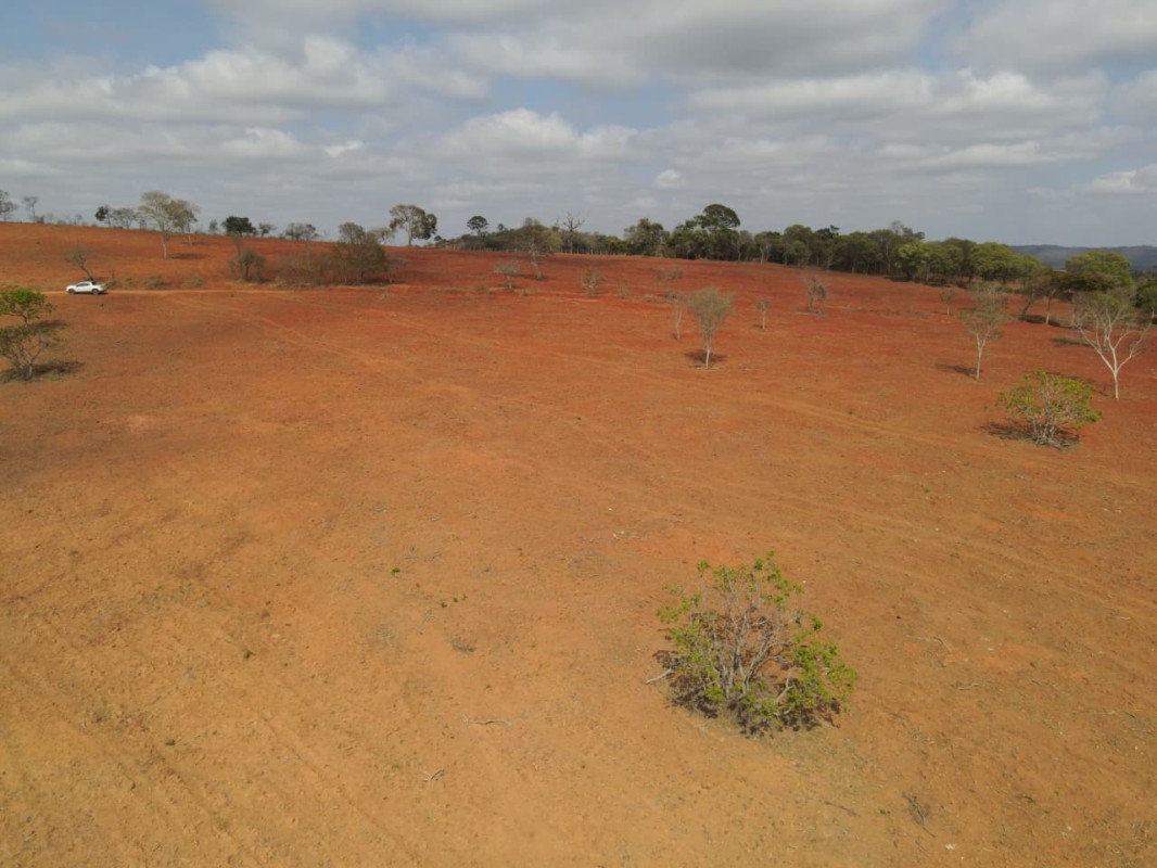 Fazenda, 88 hectares - Foto 2