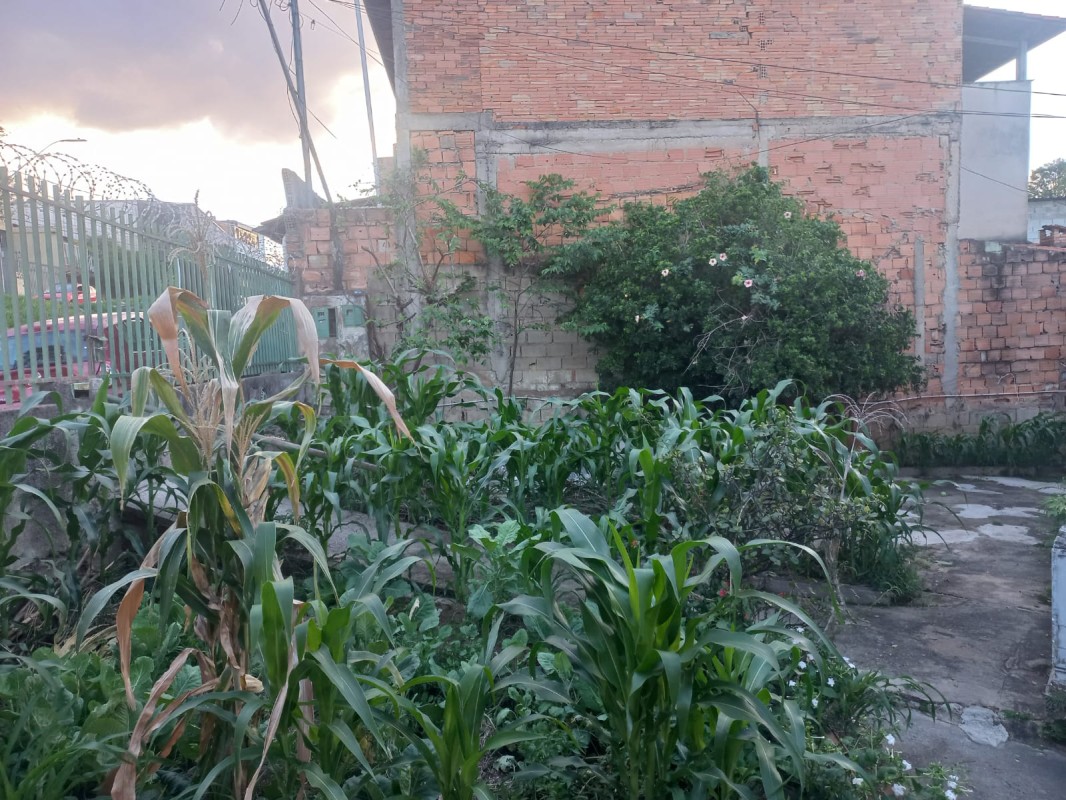 Terreno, 480 m² - Foto 17