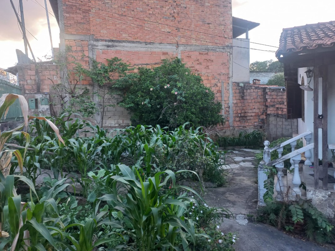 Terreno, 480 m² - Foto 15